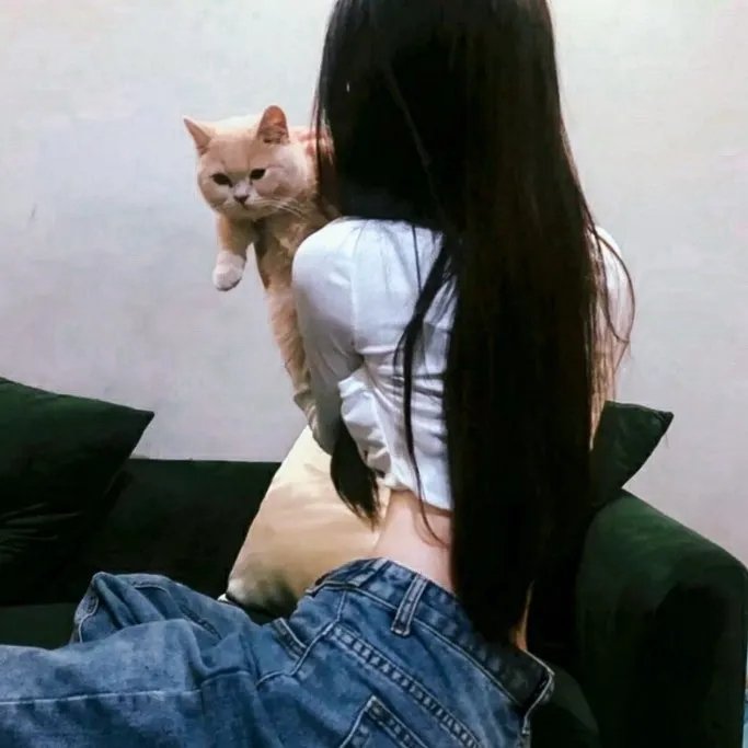 大李小李和老李